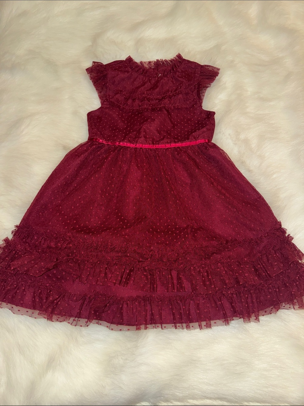 Janie and Jack Burgundy Ruffled Tulle Dress